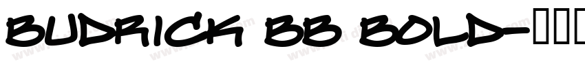 Budrick BB Bold字体转换